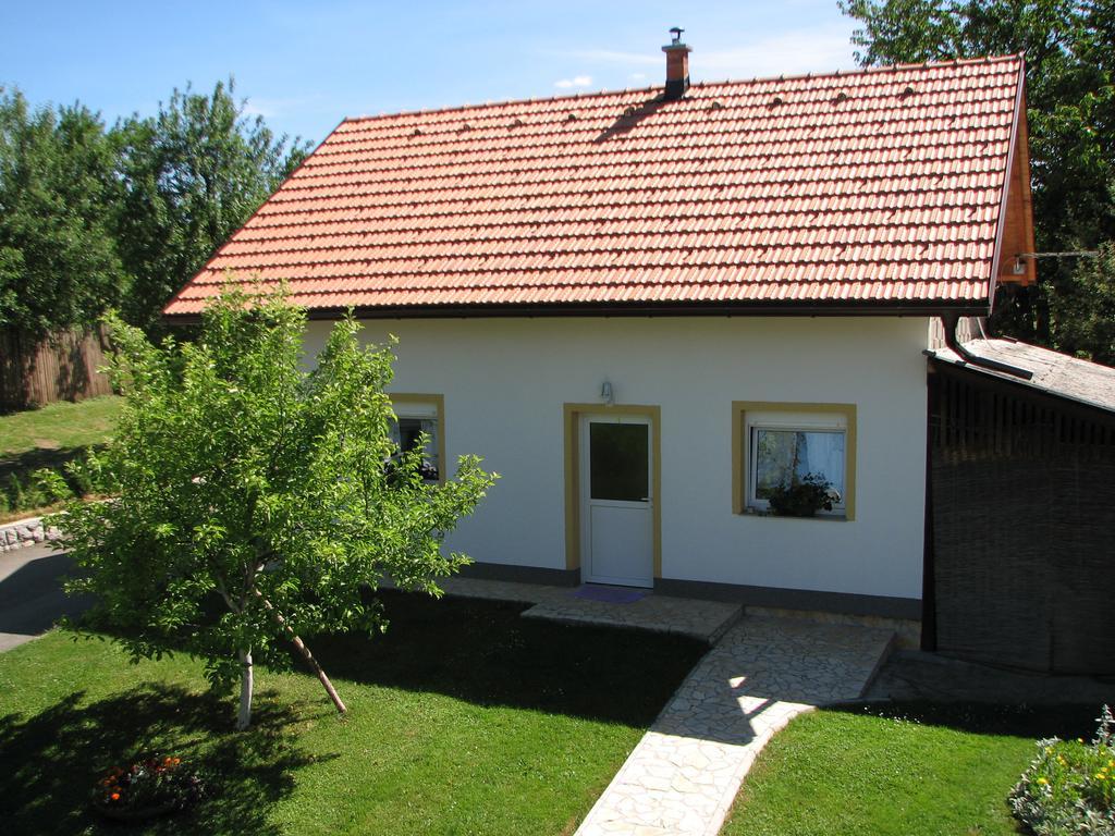 Apartment Ilija Rakovica Exterior photo